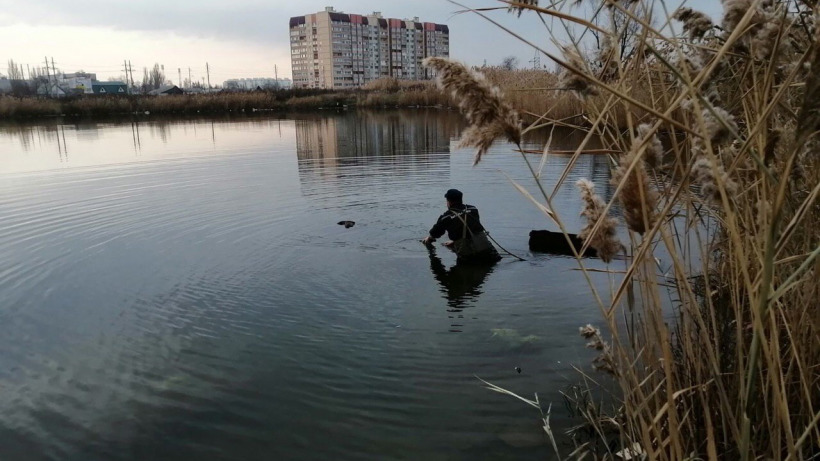 Из пруда в Энгельсе спасатели достали труп мужчины
