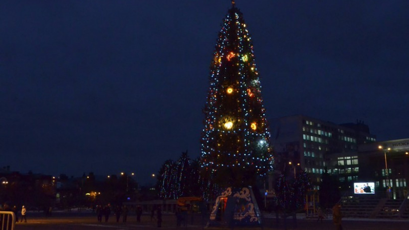 Живые сосны и тумба с росписью. В Саратове на Театральной площади за три миллиона установят традиционную новогоднюю елку 