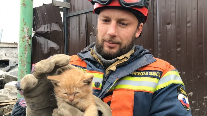 Обрушение дома в Энгельсе. Спасатели достали живого котенка  