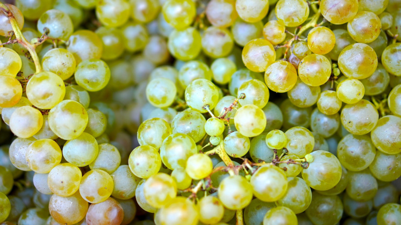 В Саратов не пропустили 20 тонн винограда из неизвестной страны