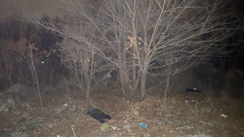 В Саратове собака нашла на свалке человеческую голову