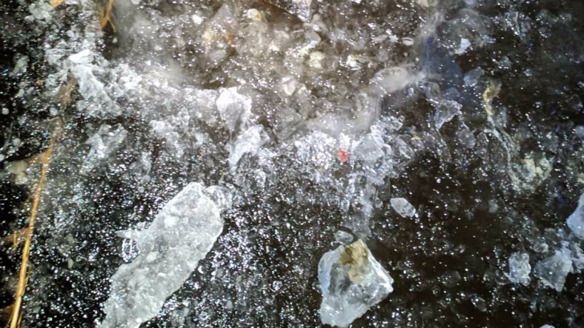 В Саратовской области в реке нашли вмерзший в лед труп младенца