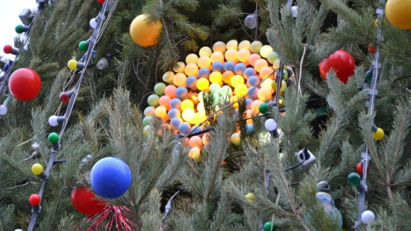 На главной елке Саратова включили праздничную иллюминацию