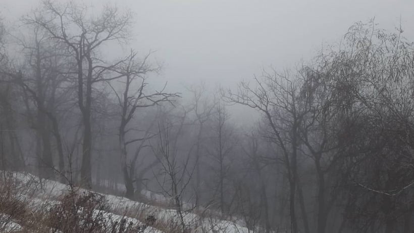 МЧС пообещало саратовцам туманное воскресенье