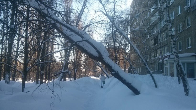 Саратовцев ждет теплый день с небольшим снегопадом