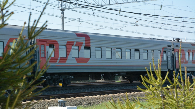 Онлайн-продажи билетов на поезда дальнего следования на ПривЖД выросли на 12,1% в 2019 году