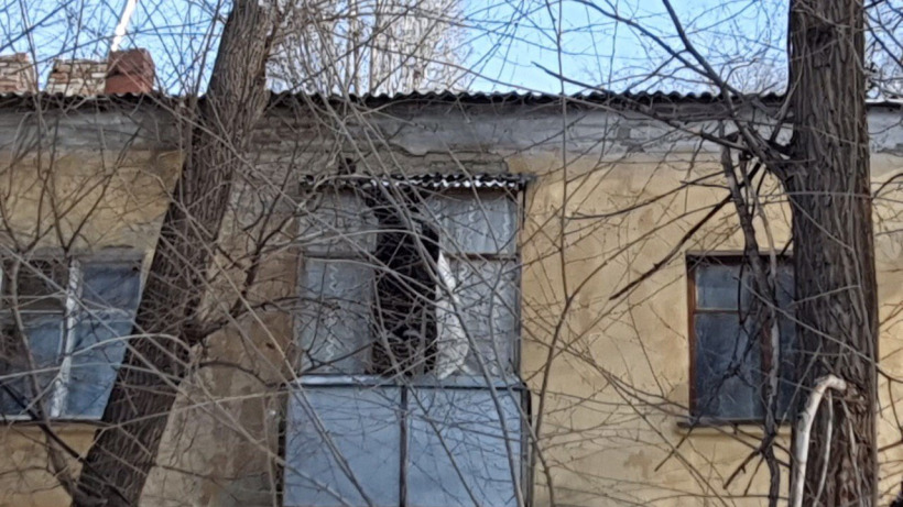 Спасатели с альпинистским снаряжением сняли кошку с козырька балкона
