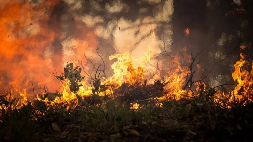Саратовские пожарные за сутки получили 22 сообщения о горящей траве