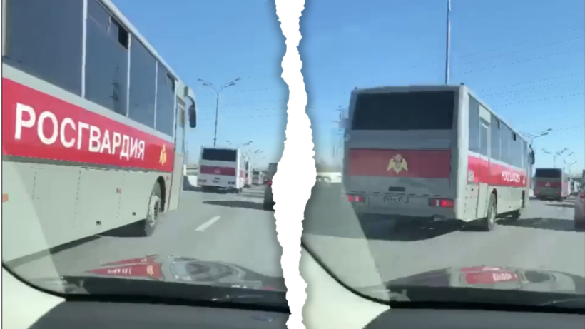 В Росгвардии призвали не беспокоиться из-за колонн ведомственных автобусов в Москве 