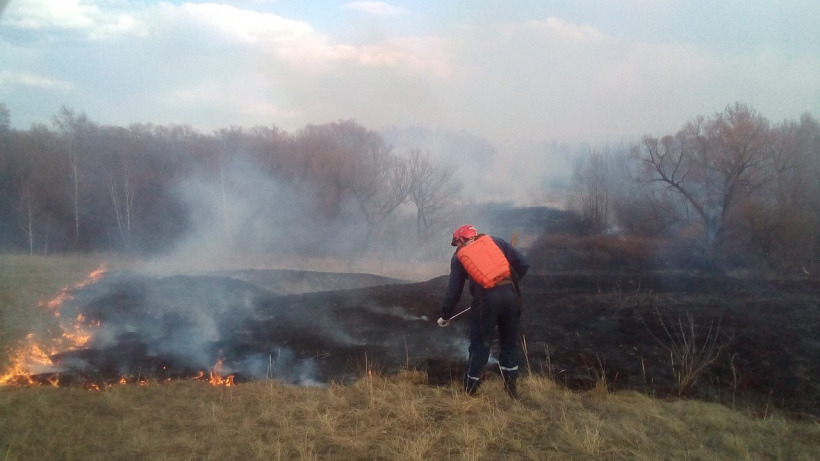 Под Аткарском экстренные службы спасли лес от пожара