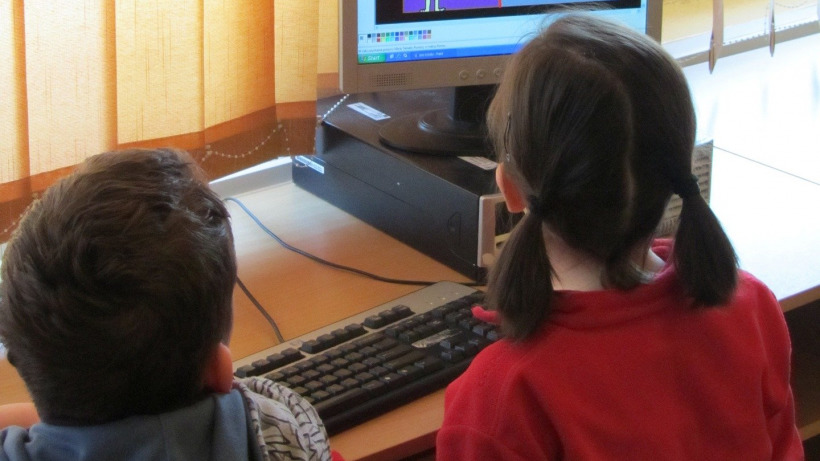 Замдиректора саратовской школы оштрафовали из-за трансляции порно во время онлайн-урока 