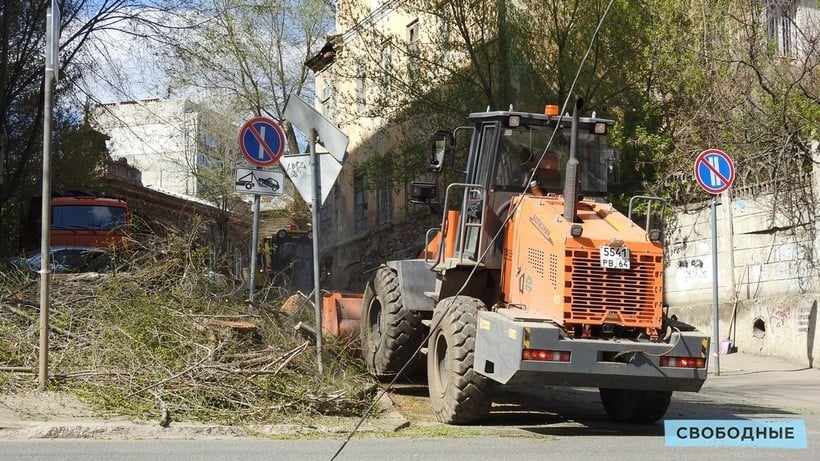 Блогер Илья Варламов: После массового спила деревьев Саратов будет «серым и унылым»  