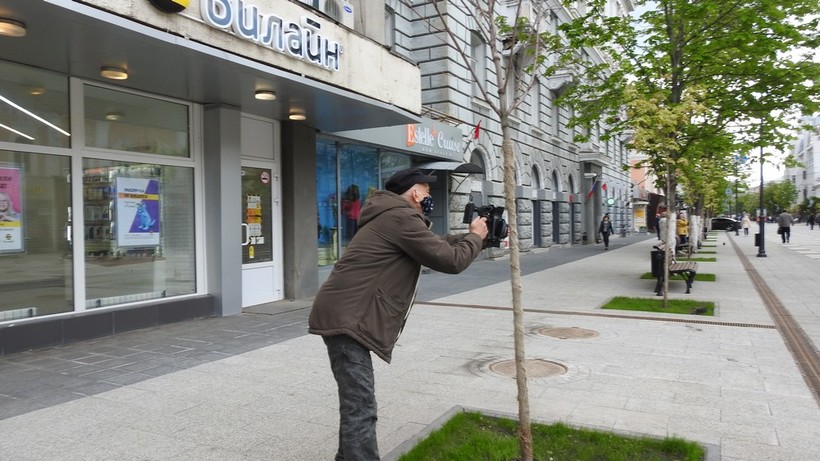 Одно воскресшее дерево и несколько «под вопросом»: чиновники и журналисты осмотрели деревья на проспекте Кирова