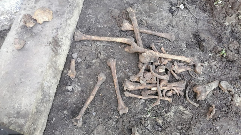 Рядом с жилым домом в Заводском районе Саратова нашли человеческие кости