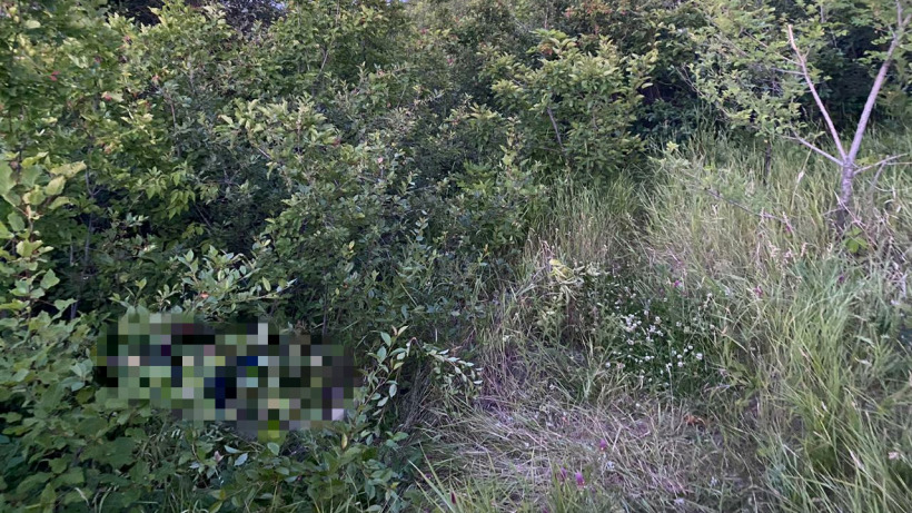 В саратовских лесопосадках нашли тело мужчины с ножевым ранением   