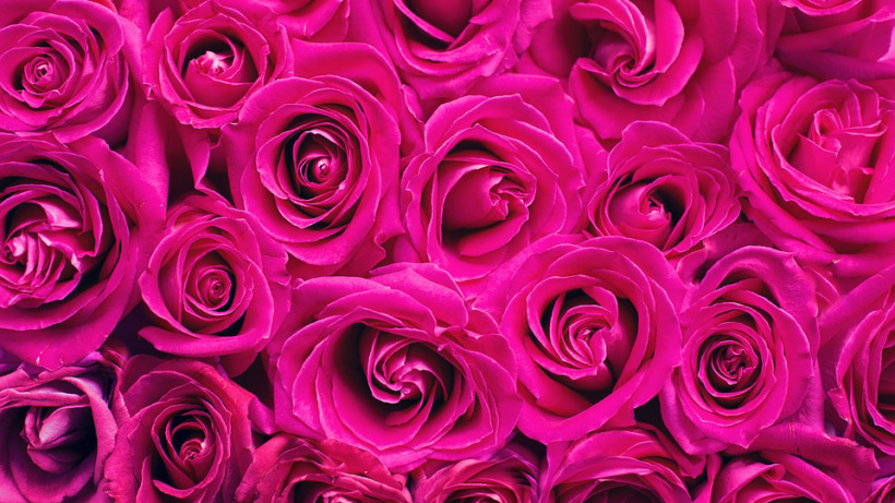 В Саратове безработный обманом взял из магазина букет из 101 розы и подарил его девушке 