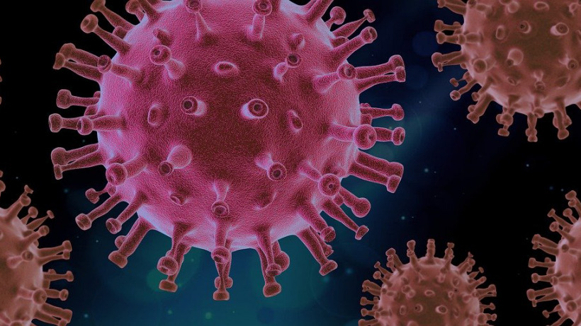 В Саратовской области выявили еще 95 случаев коронавируса 