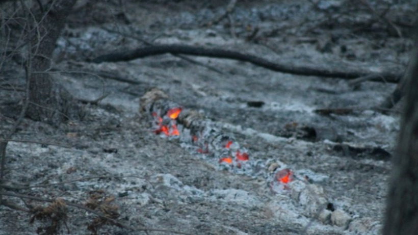 В саратовском Левобережье объявлен оранжевый уровень опасности из-за пожаров