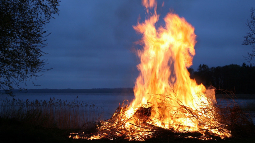 В Саратовской области сгорели 14 тонн сена