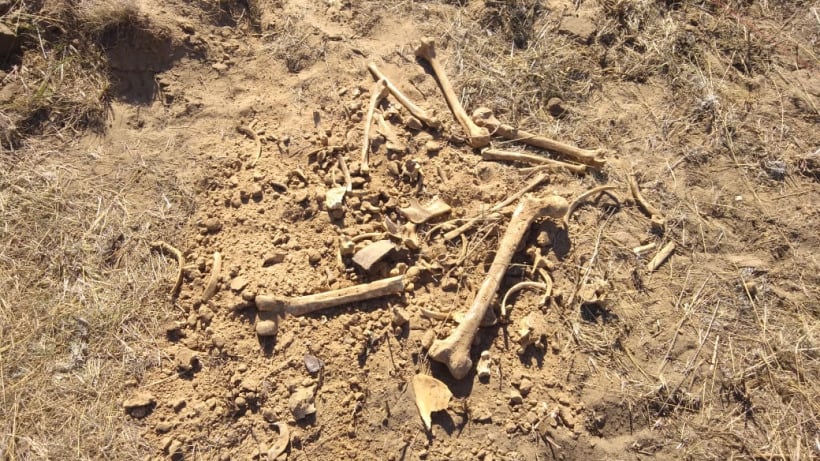 В Марксе мужчина копал яму под фундамент и нашел человеческие кости 