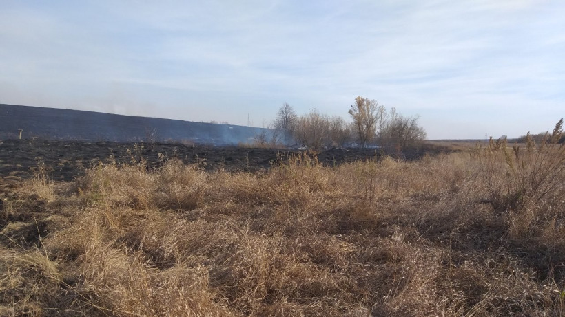 В Саратовской области лесной пожар угрожает населенному пункту