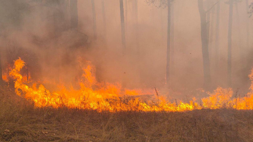 В Саратовской области зафиксировали природные пожары у двух сел 