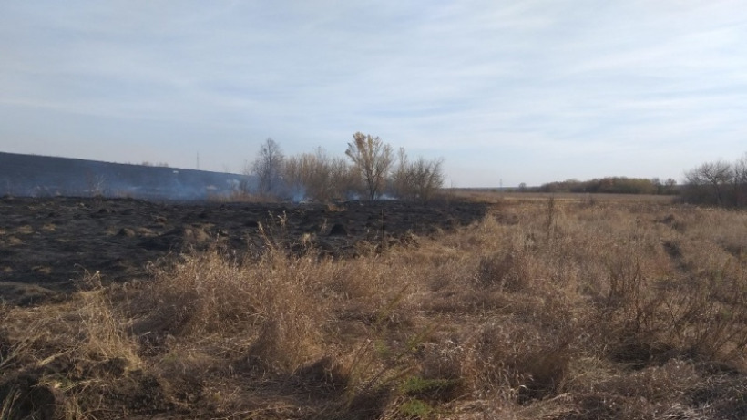 Крупный лесной пожар в Аркадакском районе ликвидировали