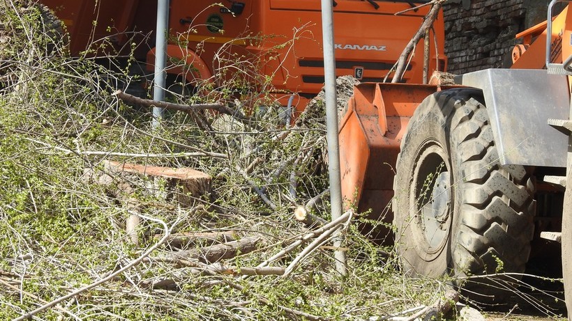 В Саратове за год снесли и обрезали больше трех тысяч деревьев. Работы продолжаются