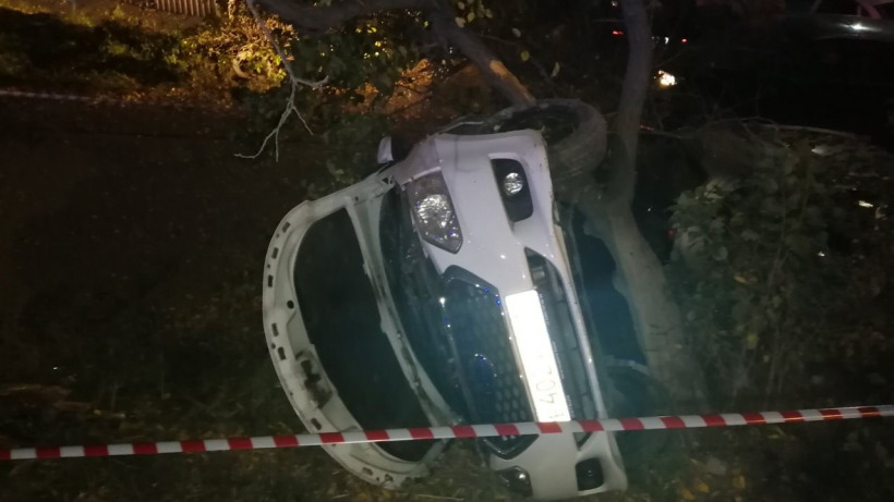 На Навашина дерево остановило потерявший управление «Датсун». Трое пострадавших