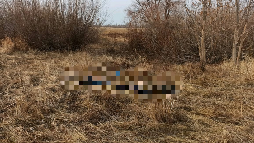 В Балаковском районе сельчане собирали валежник и нашли труп