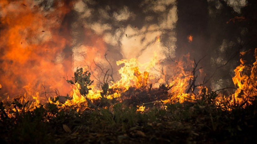 Оранжевый уровень опасности. МЧС предупреждает саратовцев об опасности лесных пожаров
