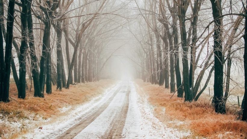 В Саратовской области ожидается мокрый снег, туман и гололедица