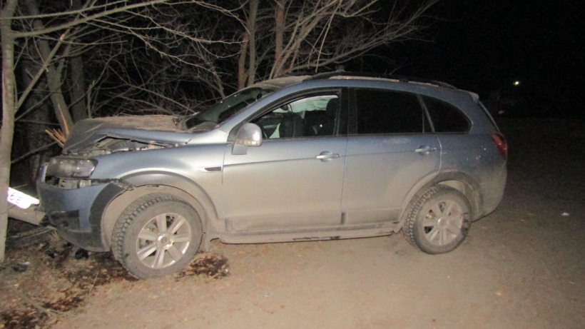 Ночью в Балашове иномарка протаранила дерево. Юная пассажирка скончалась в больнице