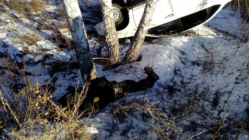 На трассе в Аркадакском районе погиб водитель перевернувшейся «Гранты»