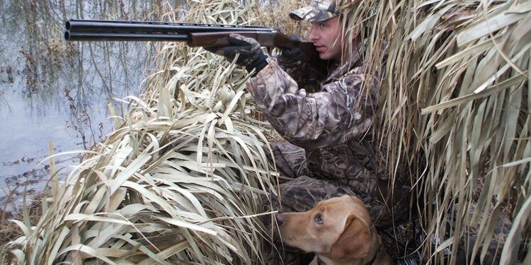 Охотники в Саратовской области должны сдать разрешения на охоту до 21 декабря 