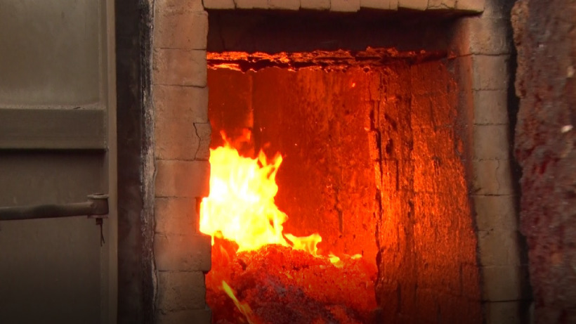 В Саратове сожгли шесть тонн опасных семян кукурузы из Чили 
