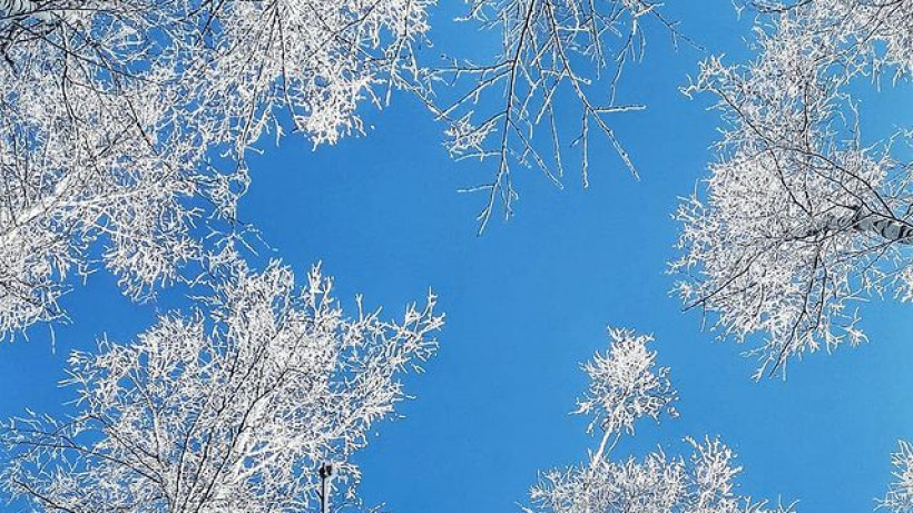 Синоптики обещают саратовцам комфортную зимнюю погоду на Новый год