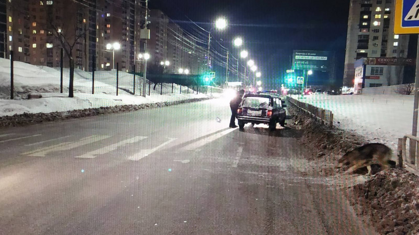На Антонова водитель «четверки» сбил женщину на пешеходном переходе