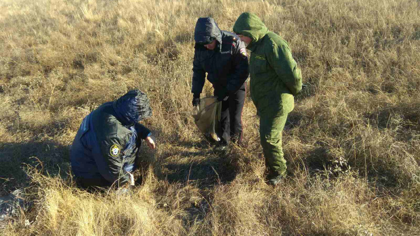 В Саратовской области нашли мертвой пропавшую прошлой весной молодую женщину 