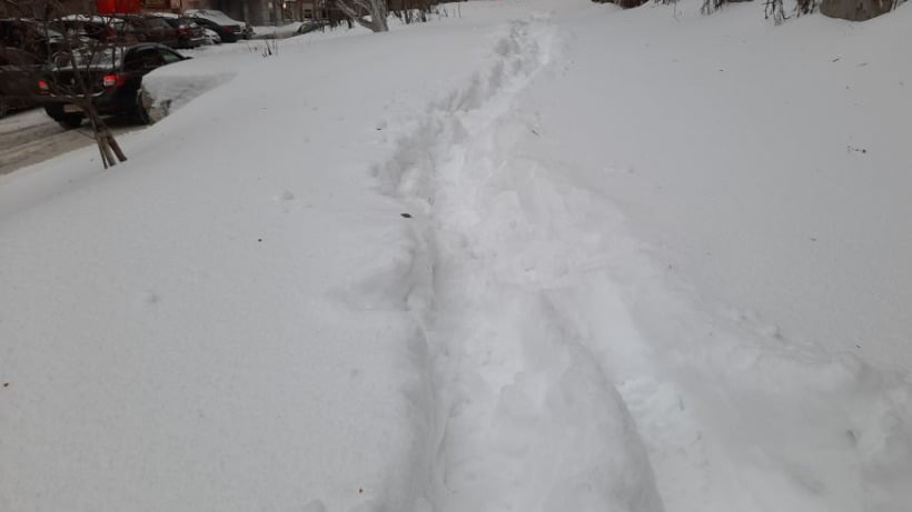 В Саратове за ночь выпало 20 сантиметров снега