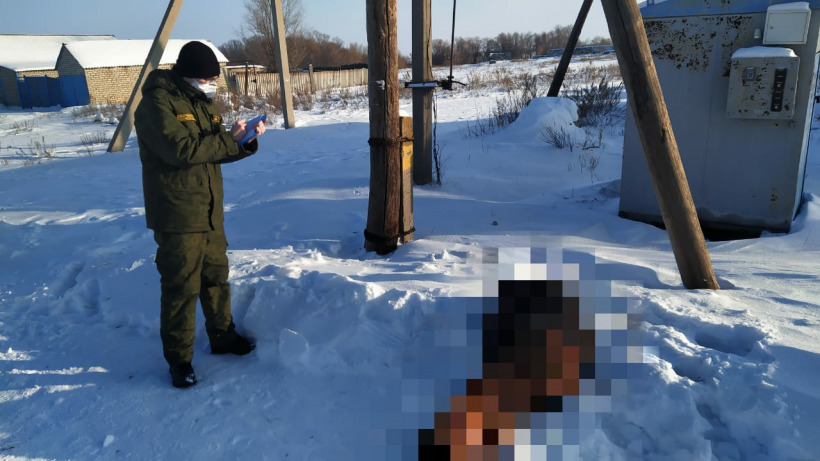 В Саратовской области сельчанин обнаружил на обочине дороги до смерти замерзшего мужчину