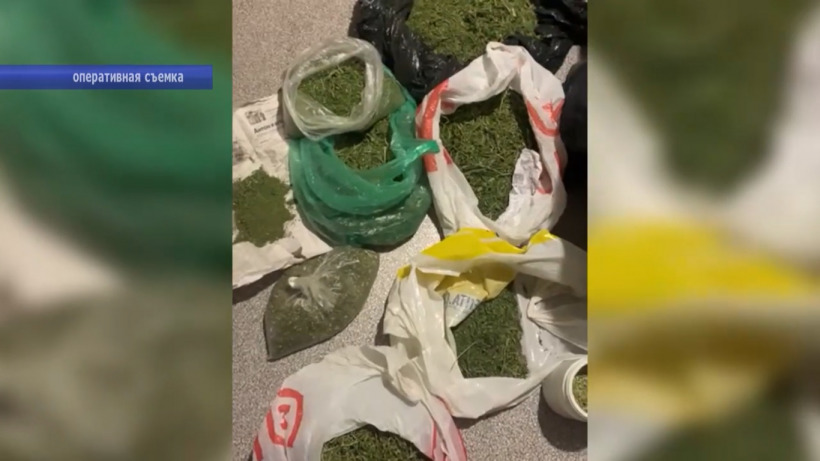 В Саратове полицейские изъяли у двух безработных десять килограммов марихуаны