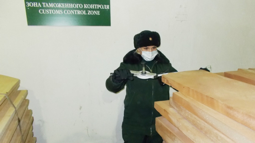 Саратовские таможенники не дали вывезти в Казахстан ценную контрабандную древесину