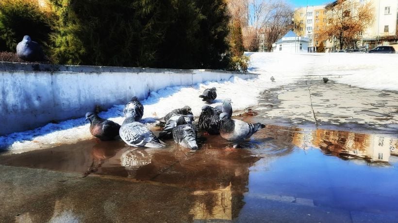 В Саратове начнутся дожди и таяние снега