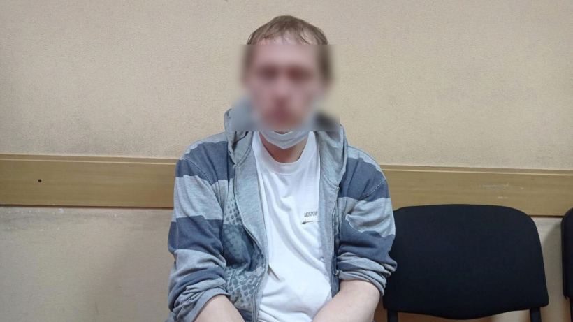 Тобби вернулся домой. Укравшего собаку курьера задержала саратовская полиция