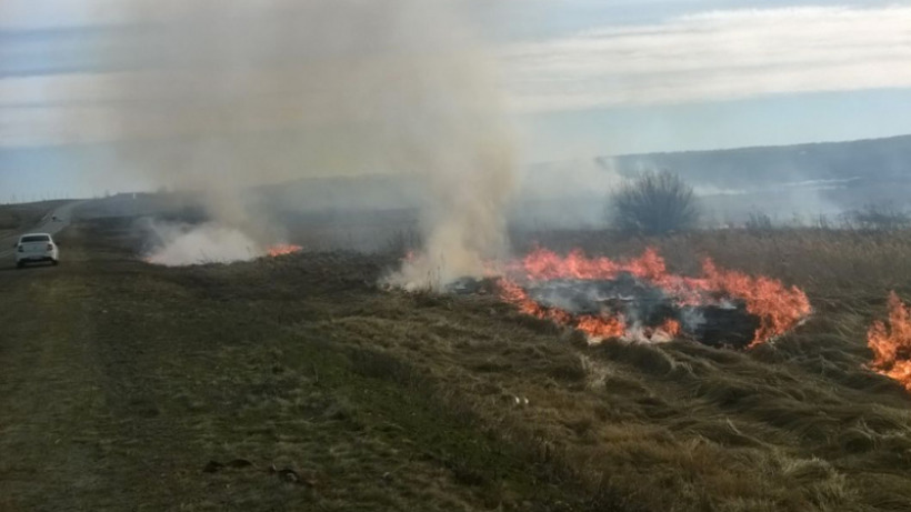 МЧС: В прошедшие выходные в Саратовской области зафиксировали 180 возгораний сухой травы