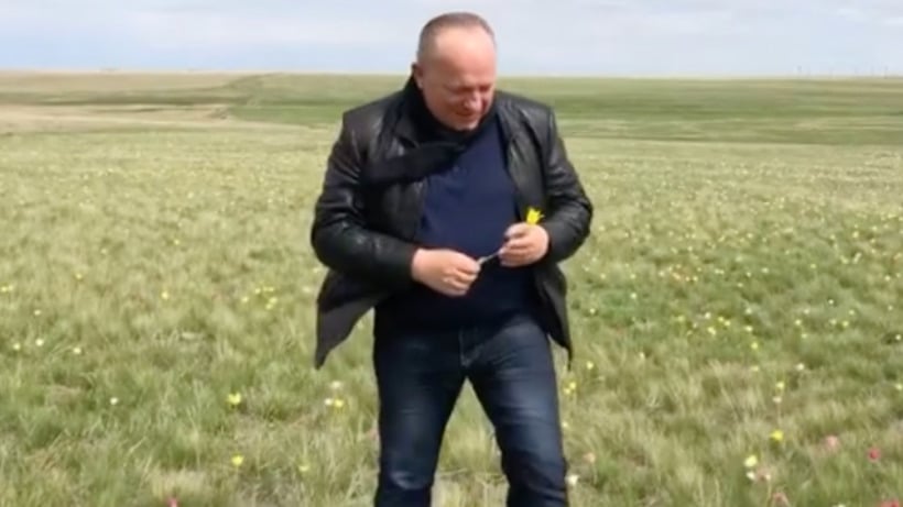 Саратовский чиновник об оказавшемся в его руках краснокнижном тюльпане: Цветок «лежал в степи»