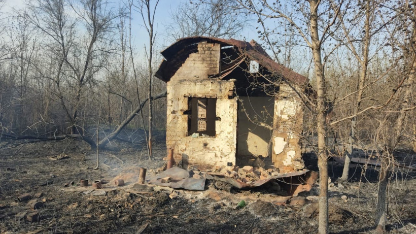 На окраине Саратова горящий камыш уничтожил восемь построек