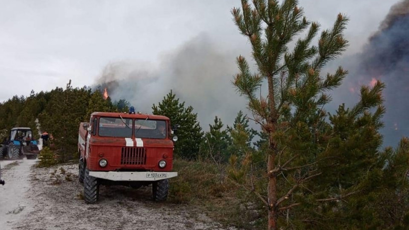 Панков: К лесному пожару в Хвалынском национальном парке привело неосторожное обращение с огнем
