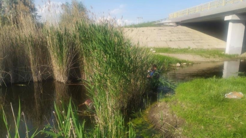 В реке под Саратовом нашли труп мужчины 